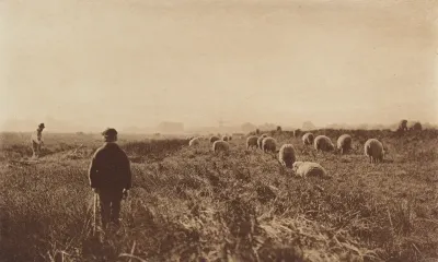 The Marshes in June