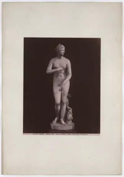 The Medici Venus