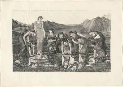 The Mirror of Venus