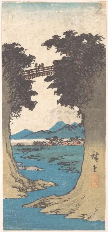 The Monkey Bridge