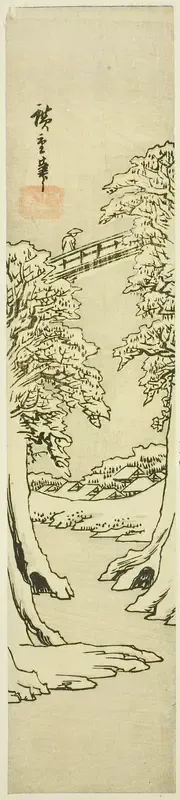 The Monkey Bridge in Winter