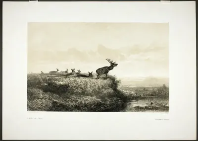 The Morning: Stags and Does