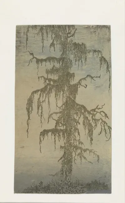 The Mossy Tree