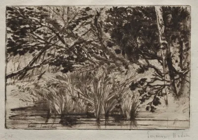 The Mouth of a Brook (Second Plate)