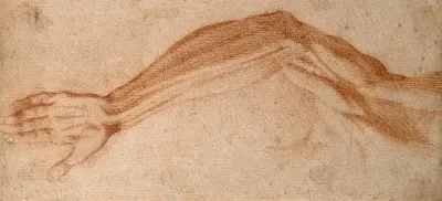 The muscles of the raised left arm and of the upper left shoulder, seen from the front