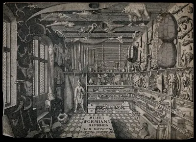 The museum of Ole Worm, Copenhagen: interior