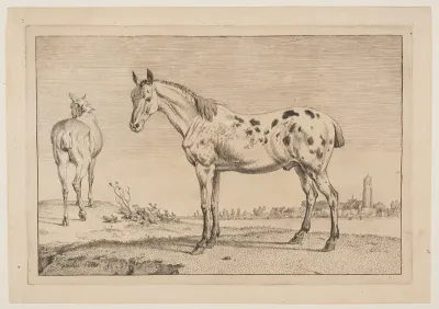 The Neighing Horse, from Series of Horses