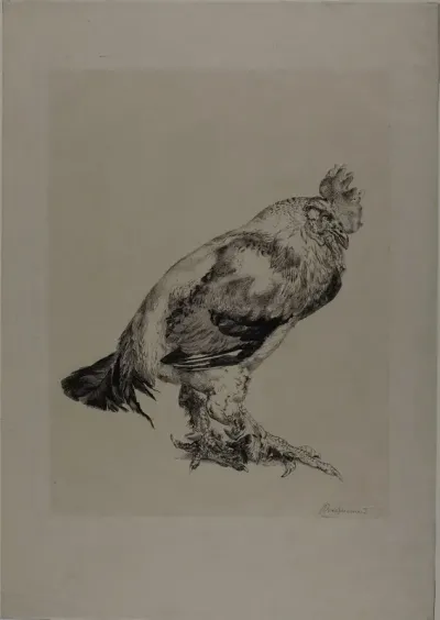 The Old Cock