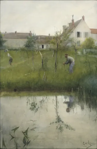 The old man and the new grove