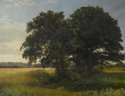 The old oak, West Belmont