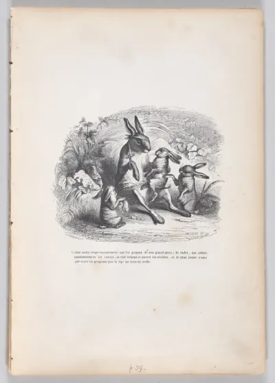 The oldest rabbit jumped respectfully on his grandfather's lap..., from "Scenes from the Private and Public Life of Animals"