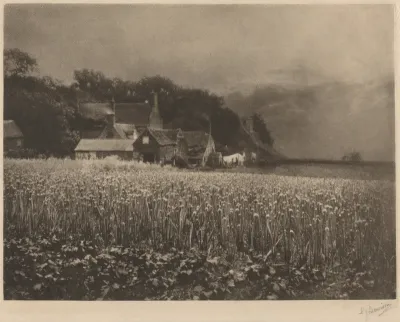 The Onion Field