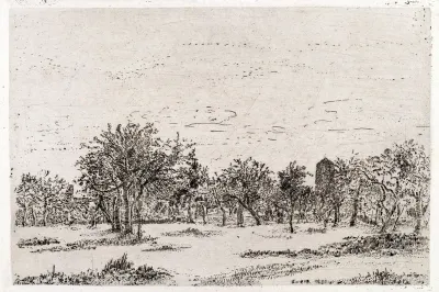 The Orchard
