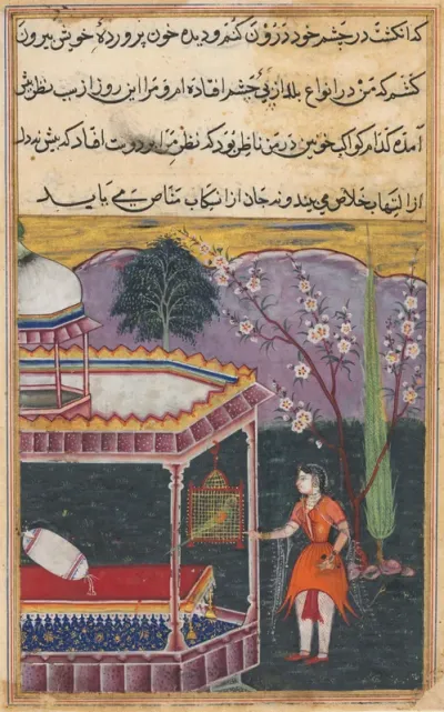 The Parrot Addresses Khujasta at the Beginning of the Eighth Night, from a Tuti-nama (Tales of a Parrot)