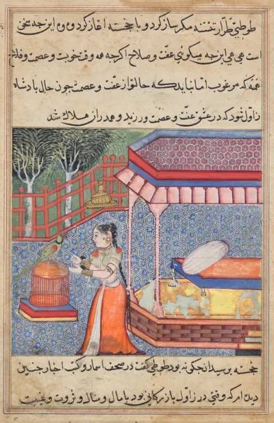 The parrot addresses Khujasta at the beginning of the thirty-sixth night, from a Tuti-nama (Tales of a Parrot)