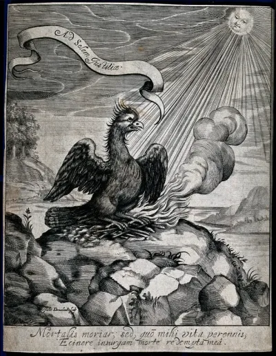 The phoenix immolating itself on a funeral pyre; representing rebirth and eternity