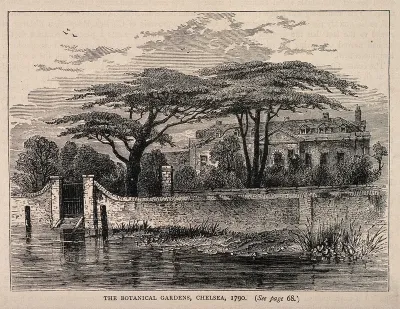 The Physick Garden, Chelsea: viewed from the Surrey bank