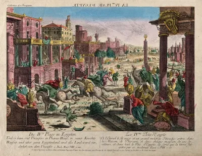 The plague of insects
