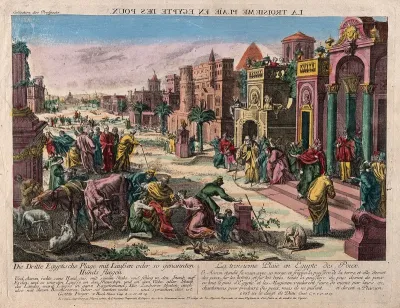 The plague of lice