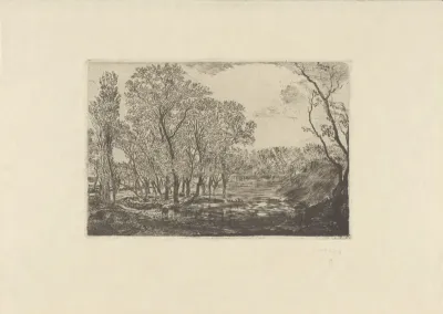 The Pool of the Poplars graphic