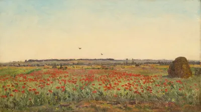 The poppy field