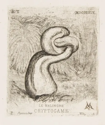 The Puny Cryptogamia