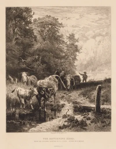 The Returning Herd