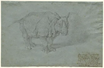 The Rhinoceros Miss Clara