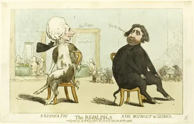 The Rival Pigs