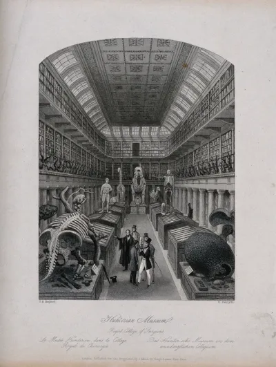 The Royal College of Surgeons, Lincoln's Inn Fields, London: the interior of the museum