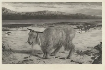 The Scapegoat