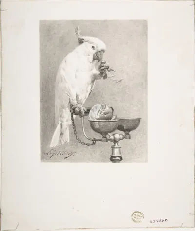 The Sedate Parrot