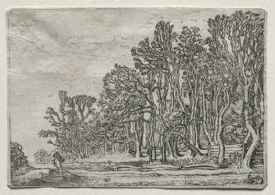 The Set of the Landscapes: Two Plank-Hedges