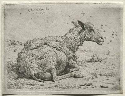 The Sheep and the Flies