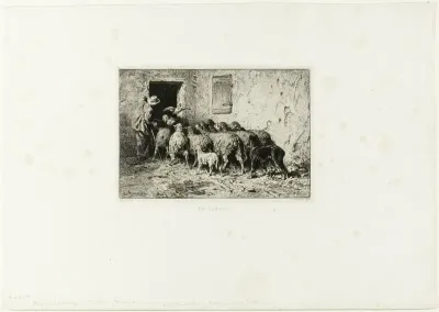 The Sheep Coming Home