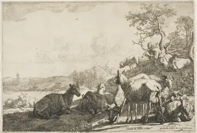 The Shepherd