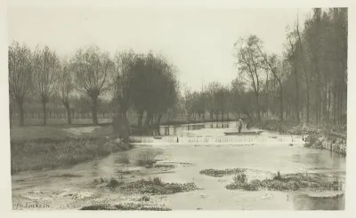 The Shoot, Amwell Magna Fishery