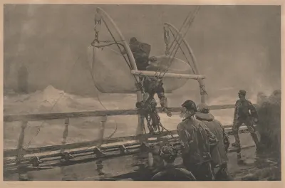 The Signal of Distress