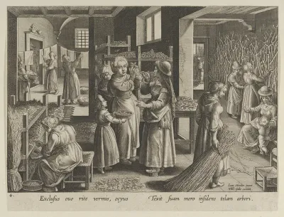 The Silkworm Eggs Spread Out On Shelves, Plate 4 from "The Introduction of the Silkworm" [Vermis Sericus]