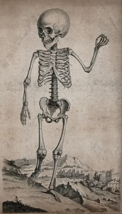 The skeleton of a child standing in an Italianate landscape