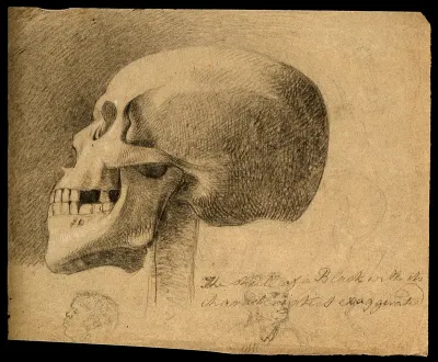 The skull of a black man, with two smaller sketches of heads of black people