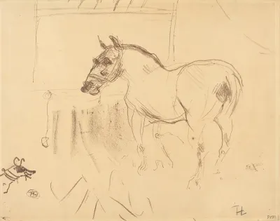 The Small Pony from Calmese (Le petit poney de Calmèse)