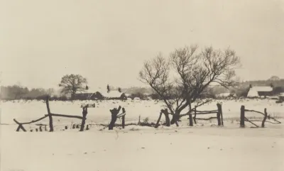 The Snowy Marshlands