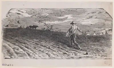 The Sower