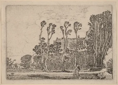 The Sower