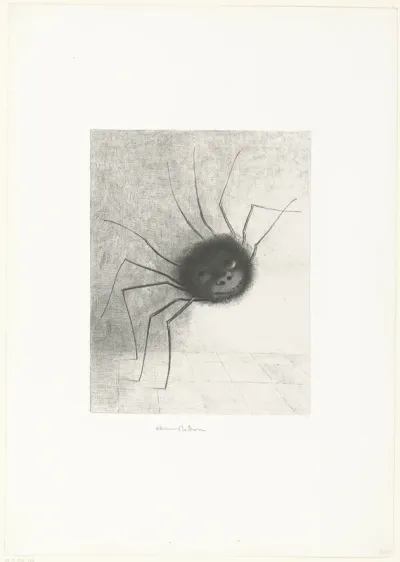 The Spider