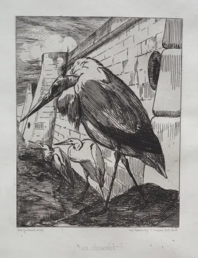 The Storks
