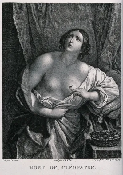 The suicide of Cleopatra: Cleopatra is standing next to her bed holding the asp in her left hand