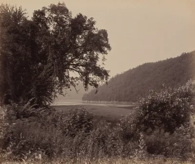 The Susquehanna Near Wyalusing