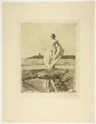 The Swan